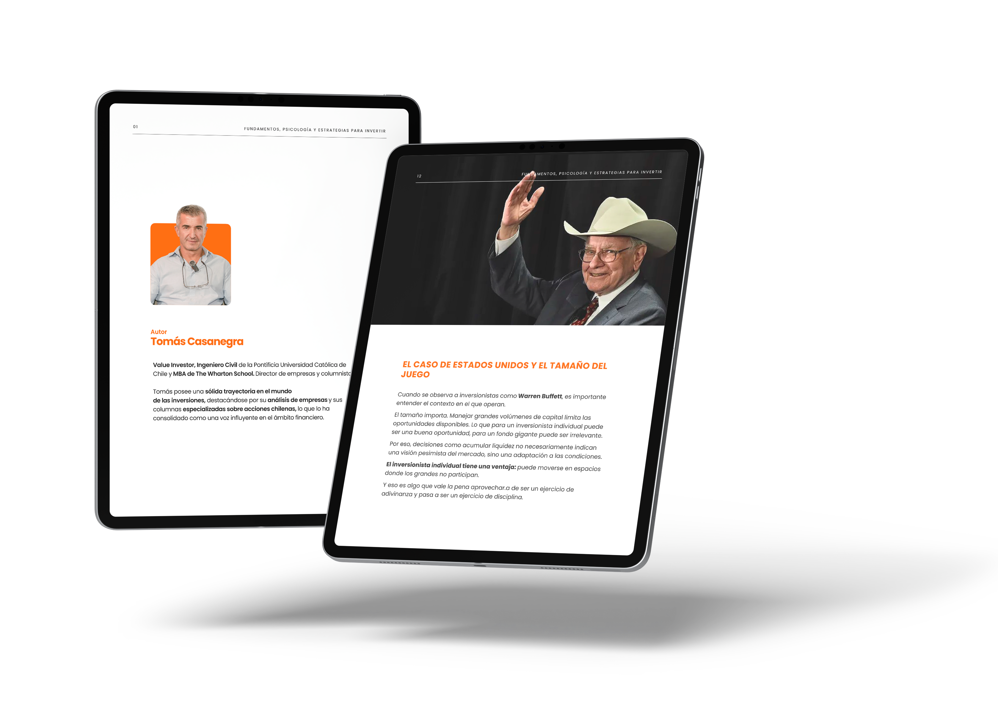 Ebook: Fundamentos y Estrategias para Invertir